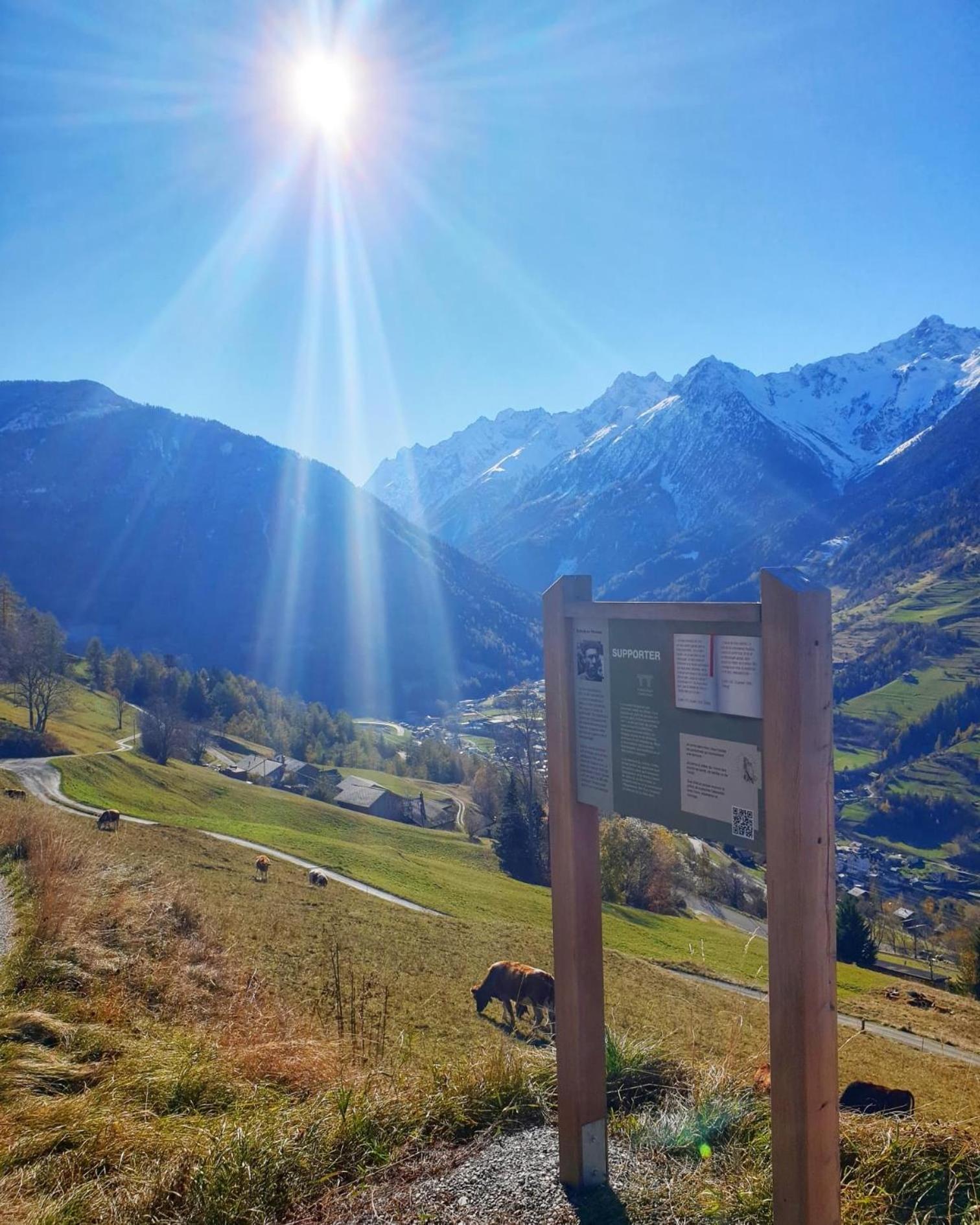 Gite Du Pelerin-Chalet De Montagne Orsières エクステリア 写真