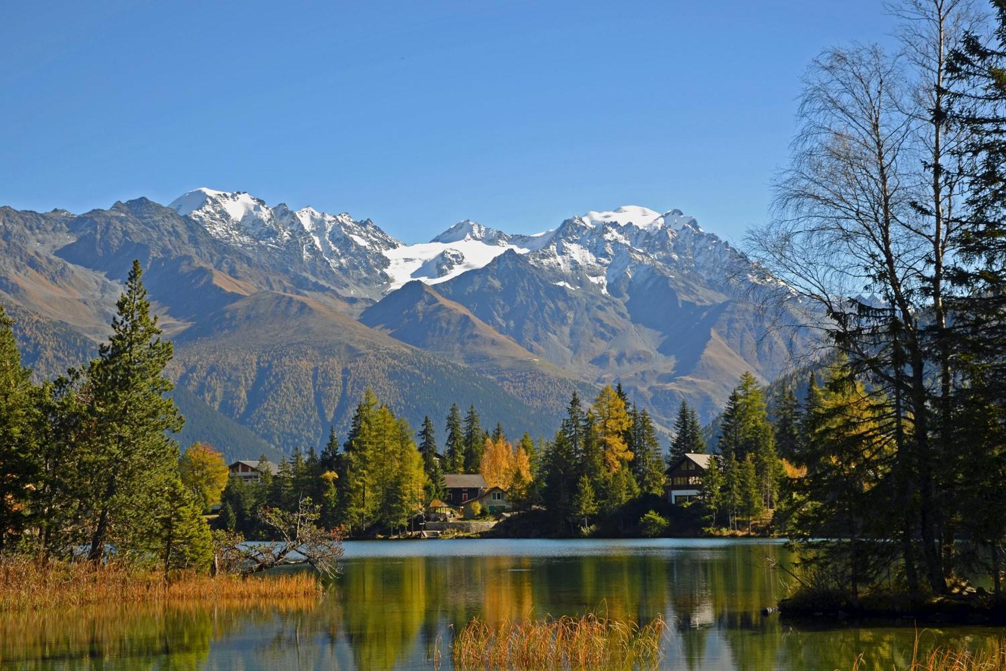 Gite Du Pelerin-Chalet De Montagne Orsières エクステリア 写真
